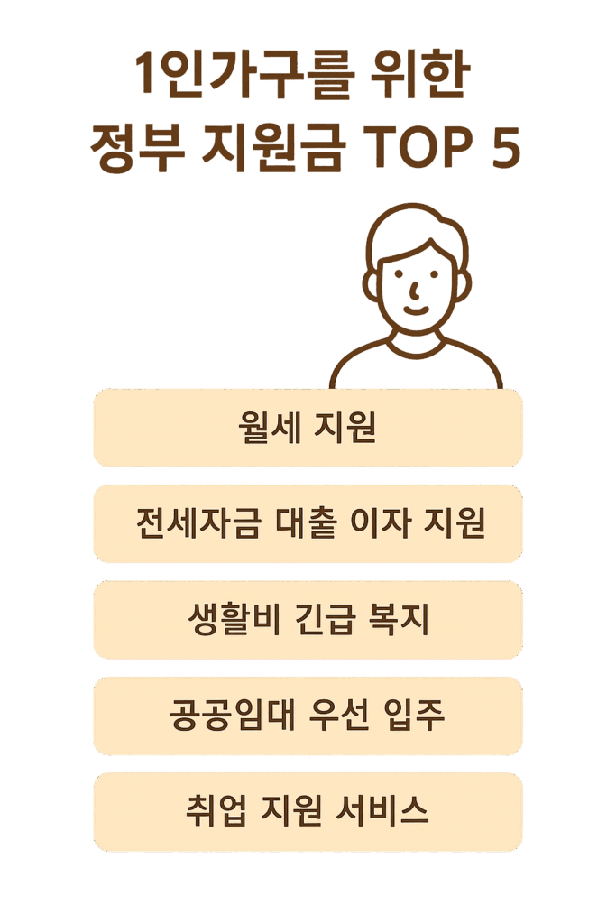 1인 가구를 위한 정부 지원금 요약 인포그래픽