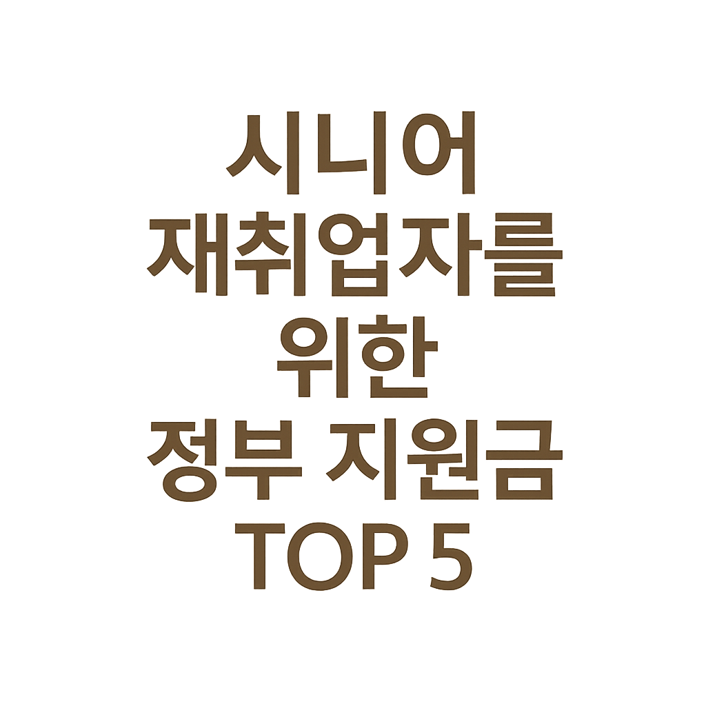 시니어 재취업 정부 지원금 TOP 5 인포그래픽